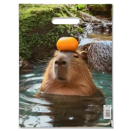 Gift Package "Capybara" 30 x 40 cm 50 μm-1