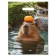 Gift Package "Capybara" 30 x 40 cm 50 μm
