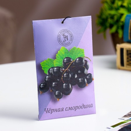 Sasha aromatic "black currant", 10 g, "wealth of aroma"