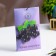 Sasha aromatic "black currant", 10 g, "wealth of aroma"