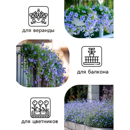 Lobelia flowers "sapphire" ampel, o, 0.05 g-3