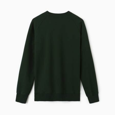Men's sweatshirt Mist Men’s Collection, p. 48, green-8