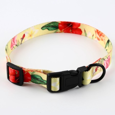 Set "Flowers", fastener - fastx, leash 2 m and collar 28-46 cm-3
