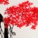 Bonsai in the pot "Push Tree" 10x23 cm, mix