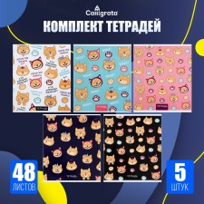 A set of notebooks of 5 pieces, 48 ​​sheets in the Calligrata cage 