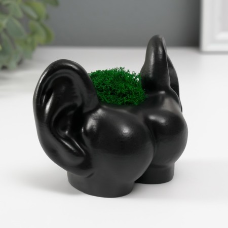 Concrete Kashpo "ass with ears" with moss 8x10 cm black (moss green stabilized)-1