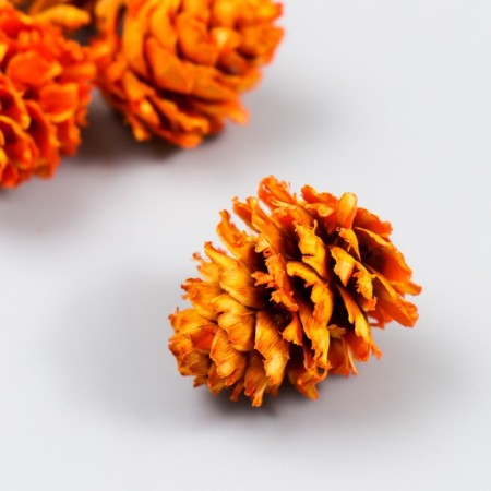 Decor for creativity "Pine orange bump" size 2-4 cm-2