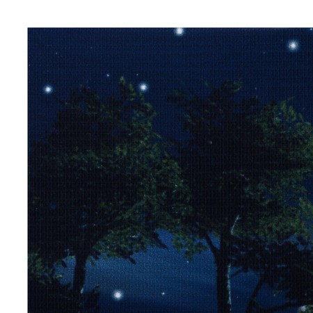 Light picture "Complete moon" 40*50 cm-3