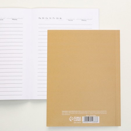 Diary "St. Petersburg", 52 sheets, A6-1