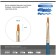 Brush Artistic Synthetics Gamma "Gallery", flatovalnaya No. 2, short handle 303002
