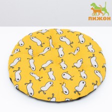 Animal Stear 
