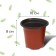 Pot for seedlings, 500 ml, d = 10 cm, h = 8 cm, terracotta, Greengo