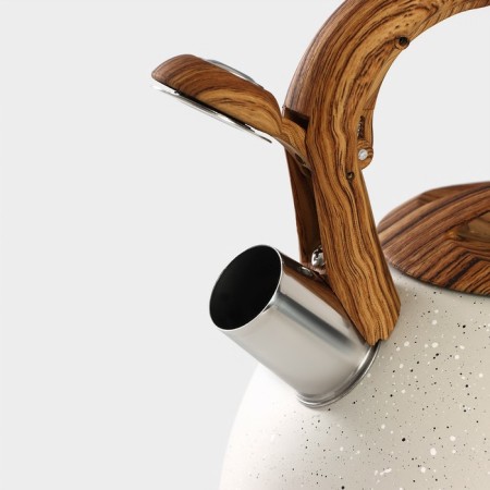 A kettle with a stainless steel whistle Magistro Stone, 2.7 L, Soft-Touch pen, induction, beige color-3