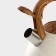 A kettle with a stainless steel whistle Magistro Stone, 2.7 L, Soft-Touch pen, induction, beige color