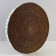 Round clawe "Cacti", 32 cm