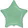 Foil ball 18 "Star" Mint Makaruns "