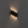 Facade lamp "Ray", FSD-012, 8 W, 3000K, 4 rays, IP65, 220 V, metal, black