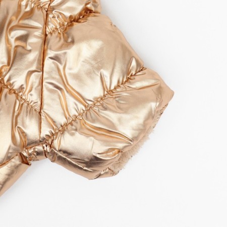 Kombinson "Shine", size XL (DS 39 cm, OG 53, Osh 35 cm, weight 14 kg), golden-10