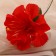 Artificial flowers "Crisp" D-11 cm H-27 cm, red