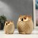 Souvenir Ceramics "Filin and Owl" Bezh set 2 pcs 8x8.5x5 cm 12.5x12.5x7 cm