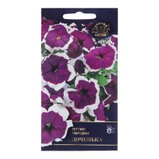 Flowers of Petunia 