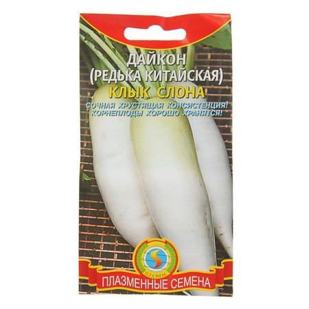Seeds Daikon (Chinese radish) "Elephant Fang", 1 g