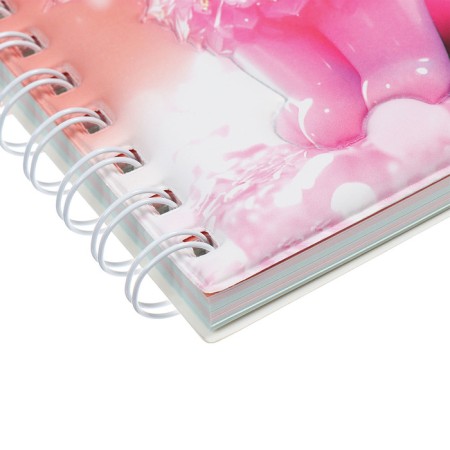 Notebook Gift Book on the comb 80l, line, color block, PVC Cat cover 3D (17.6x13.5cm) 105-3