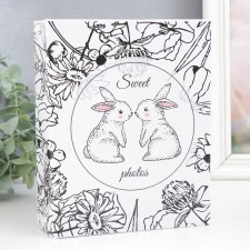 Photo album in 100 photos 13x18 cm 