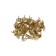 Tundra nails, decorative, textured, 11x16 mm, gold, 50 pcs