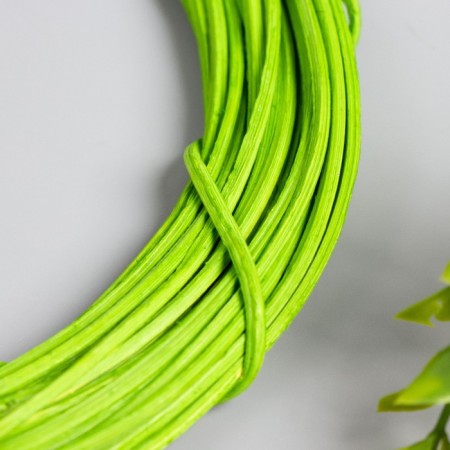 Ring Roadan for manufacturing a green catcher "Green" d = 20 cm-1