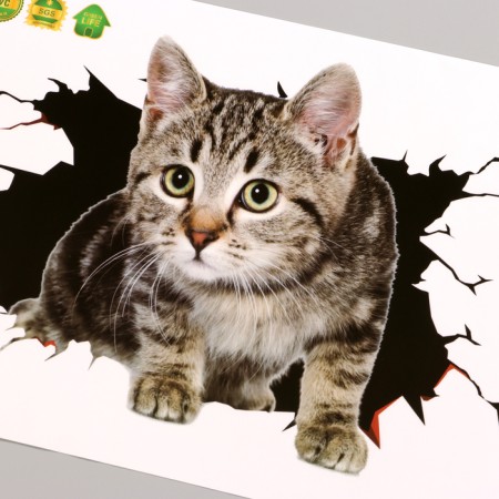 Stick 3D interior cat 30*20cm-1