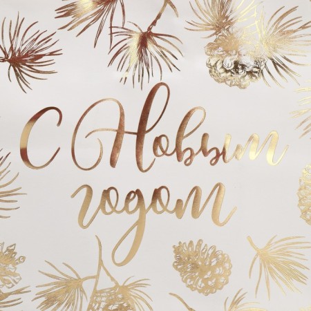 Package Gift Craft Gold, 32 x 28 x 15 cm, New Year-5