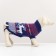 Sweater knitted with the ornament "Deer", Size L (DS 26, OG 32-42, Osh 22-32 cm), Blue