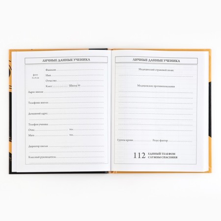 School diary 5-11 grade, in a solid cover, 48 liters. Football-2