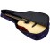 Case for the acoustic guitar Flight, FBG-2009 Space, without insulation