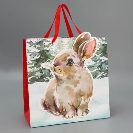 Gift Package "Bunny", 30 x 30 x 15 cm, new year-2