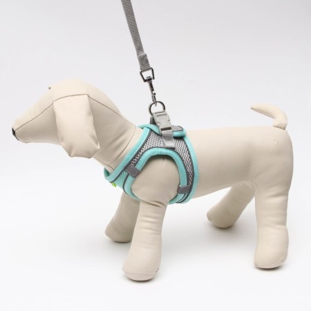 A set with a soft harness, fast-open, s, leash 150 x 1.5 cm, Osh 33-36 cm, OG 35-40 cm, turquoise-1