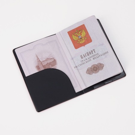 Cover for passport, pink color-3