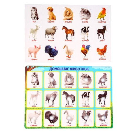 Developing Velcro game "Farm animals", according to the method of G. Doman-1