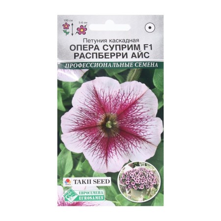Flowers of Petunia Cascading Opera Suprim Rapberry Ice F1, 3 dragees