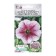 Flowers of Petunia Cascading Opera Suprim Rapberry Ice F1, 3 dragees