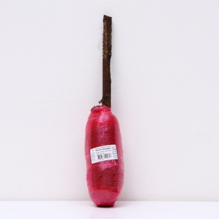 Raspberry repair varieties "Nizhny Novgorod" 1 pc, tube, spring 2025-2