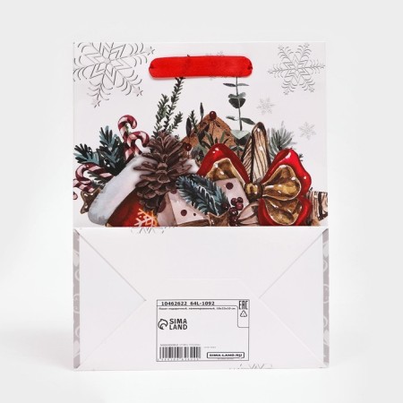 Gift, laminated package, "letter with gifts", 18 x 23 x 10 cm-4