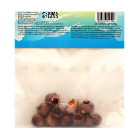 Kislitsa (oxalis) Iron Cross, river 5/+, 10 pcs, autumn 2024-1