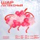 A set of balloons for decorating the photo zone "Strawberry", 40 pcs