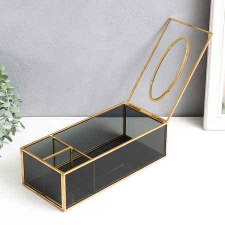Casket Salphell Glass and Steam "Darkened" 7.5x11.5x25.5 cm-1
