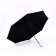 Umbrella fur R48/55 8SP 4sl eponge in/u uf flowers straight handle b/cut mix package