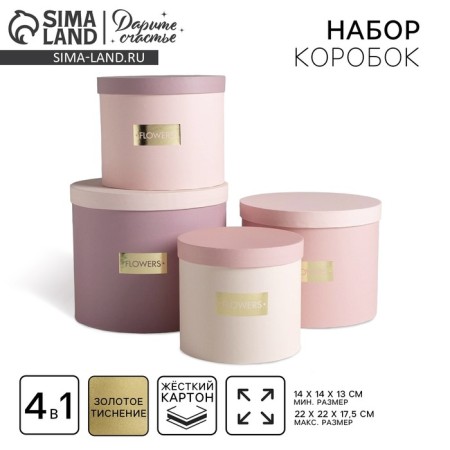 A set of hats for colors 4 in 1, gift packaging, “delicate tones”, 14 x 13 cm - 20 x 17.5 cm