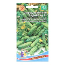 Seeds of cucumber 