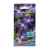Flowers Clematis "sea spray", 5 pcs,